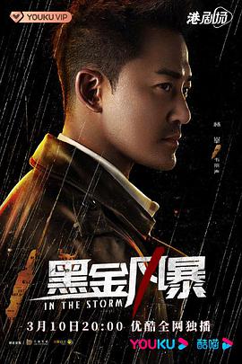 黑金风暴粤语 第09集