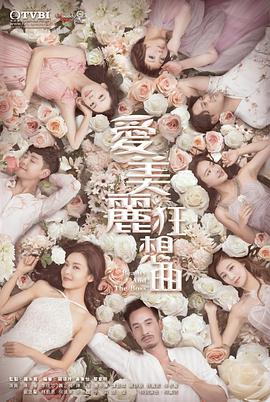 爱美丽狂想曲国语 第03集