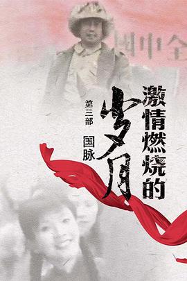 激情燃烧的岁月3 第04集