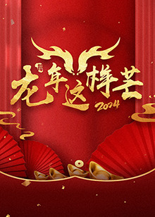 龙年这样芒 第2期