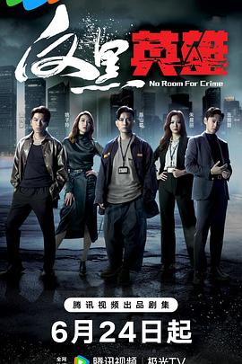 反黑英雄国语 第08集