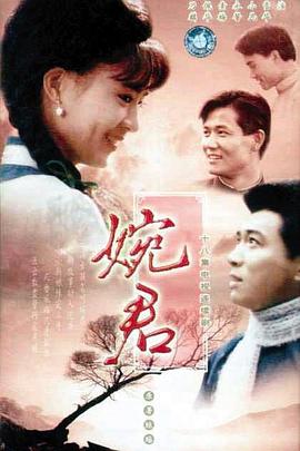婉君 第14集