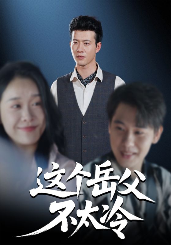 这个岳父不太冷(全集)