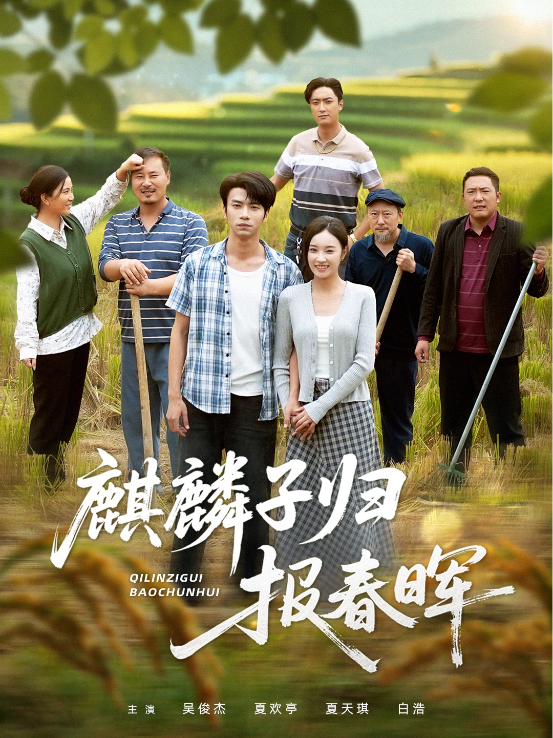 麒麟子归报春晖 第04集
