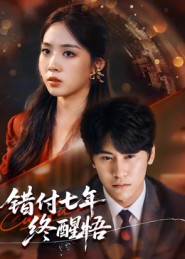 错付七年终醒悟 第20集