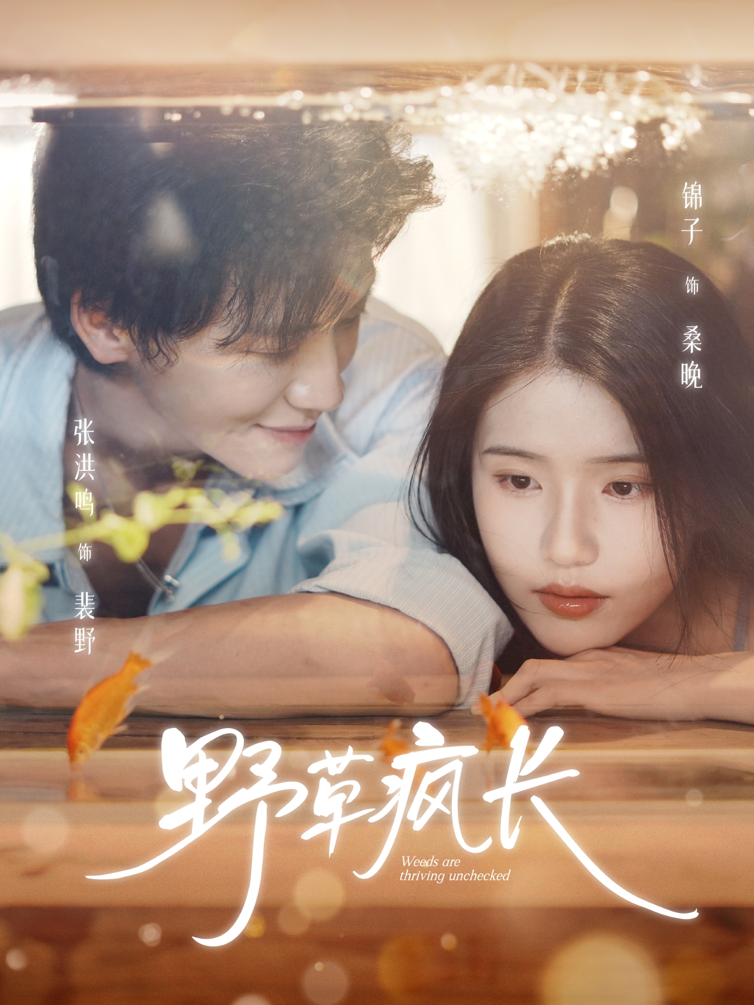 野草疯长 第13集