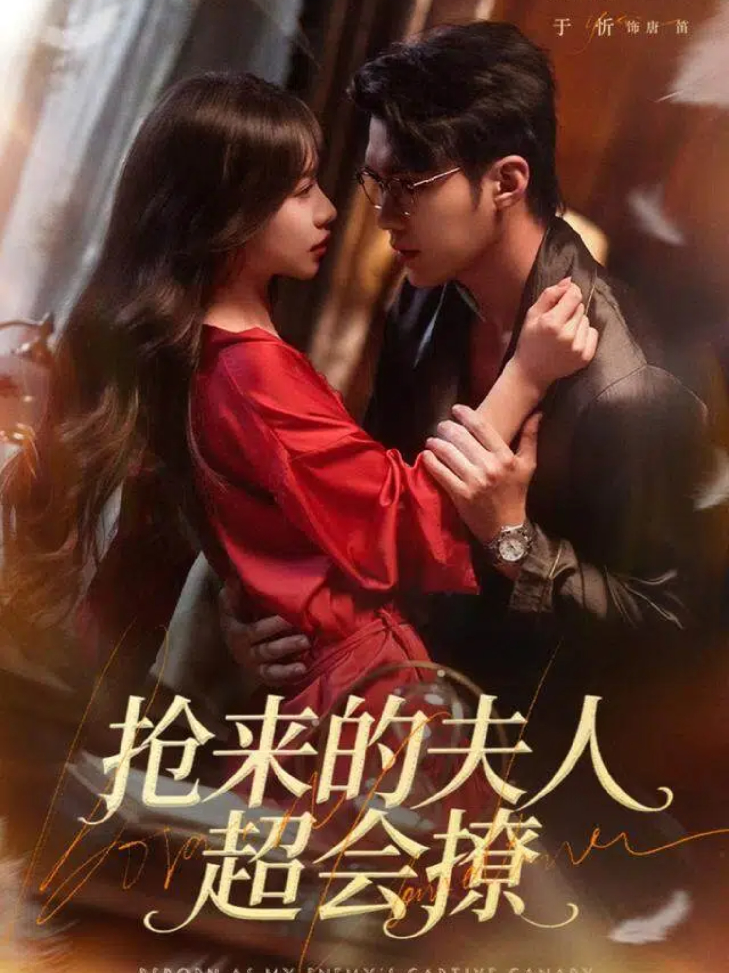 抢来的夫人超会撩(全集)