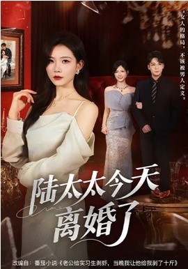 陆太太今天离婚了 第14集