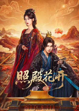 照殿花开(全集)