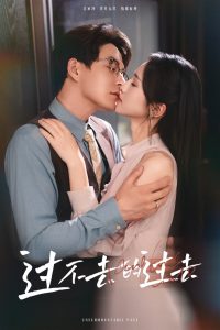 过不去的过去我用血肉去爱你(全集)